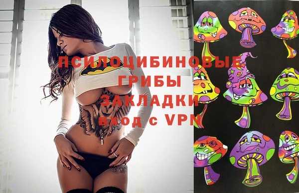 мяу мяу мука Алексин
