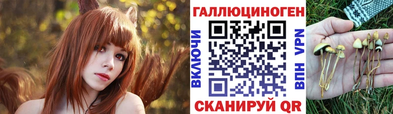 мега зеркало  Салехард  Галлюциногенные грибы MAGIC MUSHROOMS  наркота 